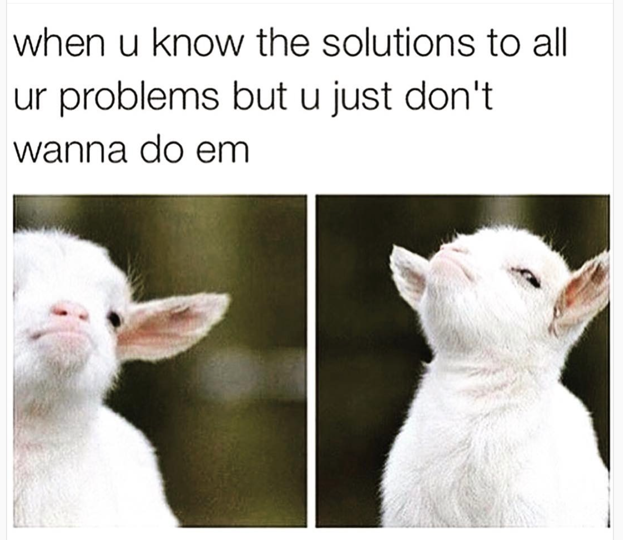 fucking funny - when u know the solutions to all ur problems but u just don't wanna do em