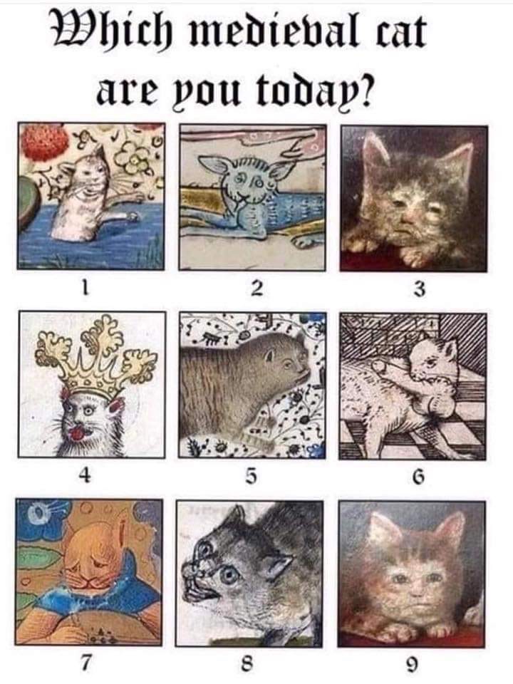 medieval cats - Which medieval cat are you today?