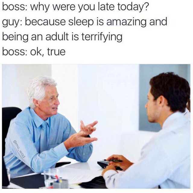you late meme - boss why were you late today? guy because sleep is amazing and being an adult is terrifying boss ok, true Omowad