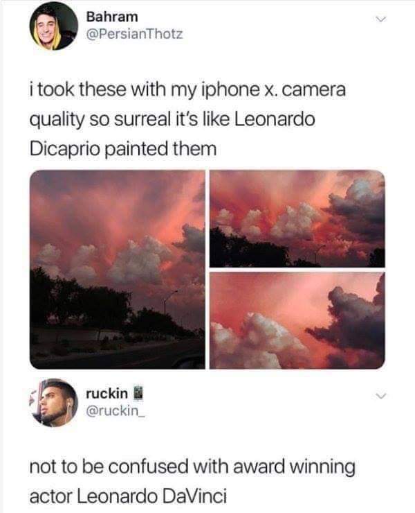 leonardo dicaprio painting meme - Bahram i took these with my iphone x. camera quality so surreal it's Leonardo Dicaprio painted them ruckin not to be confused with award winning actor Leonardo Da Vinci