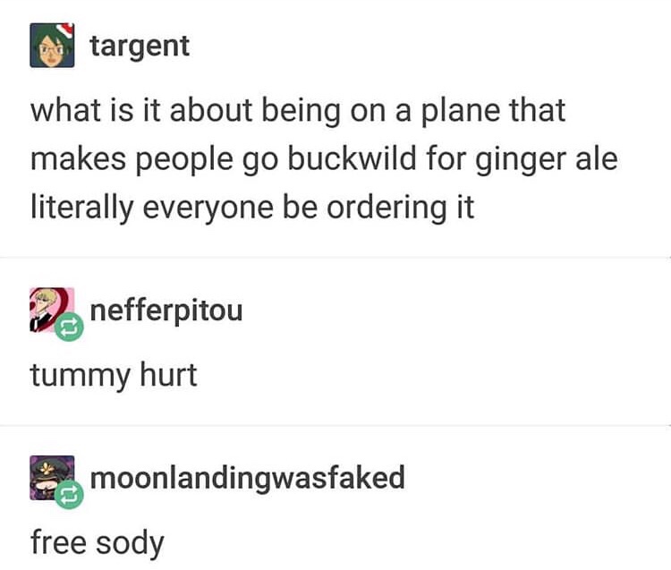 dank meme about document - targent what is it about being on a plane that makes people go buckwild for ginger ale literally everyone be ordering it nefferpitou tummy hurt moonlandingwasfaked free sody