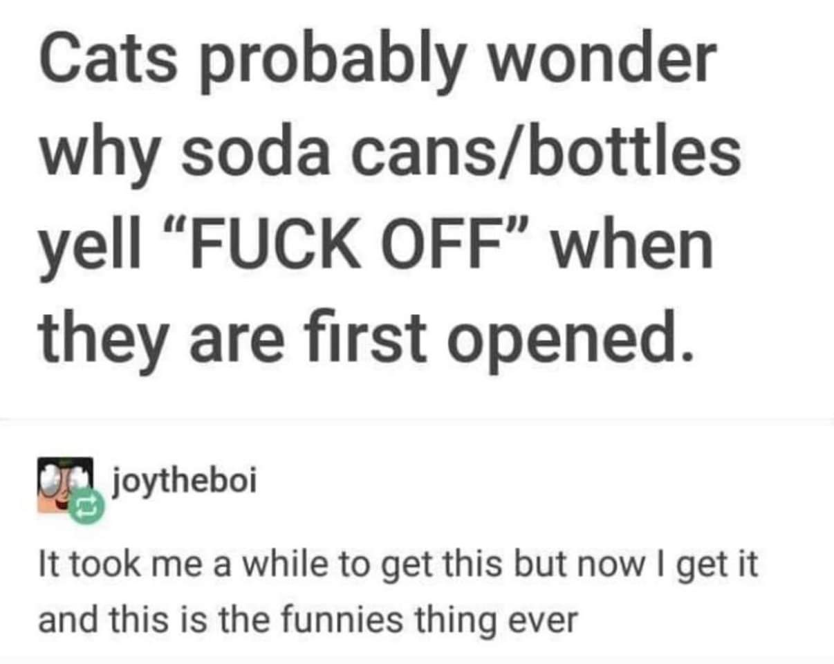 dank meme about Cats probably wonder why soda cansbottles yell Fuck Off when they are first opened. o joytheboi It took me a while to get this but now I get it and this is the funnies thing ever