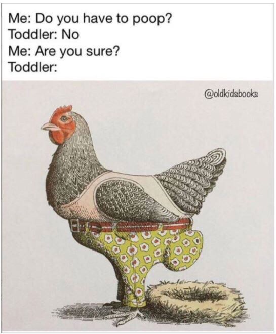 funny meme of toddler poop meme chicken - Me Do you have to poop? Toddler No Me Are you sure? Toddler Ra