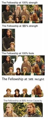 funny meme of lord of the rings - The Fellowship at 100% strength The Fellowship at 99% strength The Fellowship at 100% fools The Fellowship at 50% Height 2016 The Fellowship at 99% Arrow Capacity