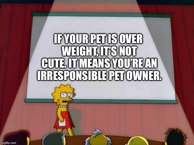 funny meme of 4 20 69 50th anniversary - If Your Pet Is Over Weight, It'S Not Cute. It Means You'Re An Irresponsible Pet Owner. imgflip.com