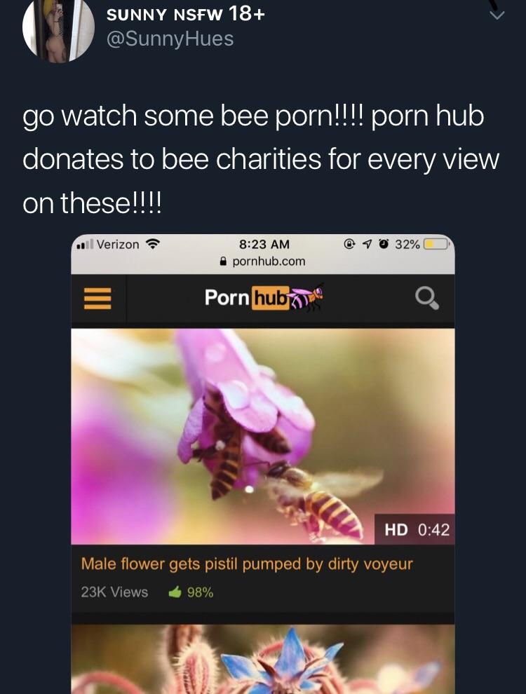 Sunny Nsfw 18 go watch some bee porn!!!! porn hub donates to bee charities for every view on these!!!! ..Verizon 10 32% 0 pornhub.com Porn hubs Hd Male flower gets pistil pumped by dirty voyeur 23K Views 98%