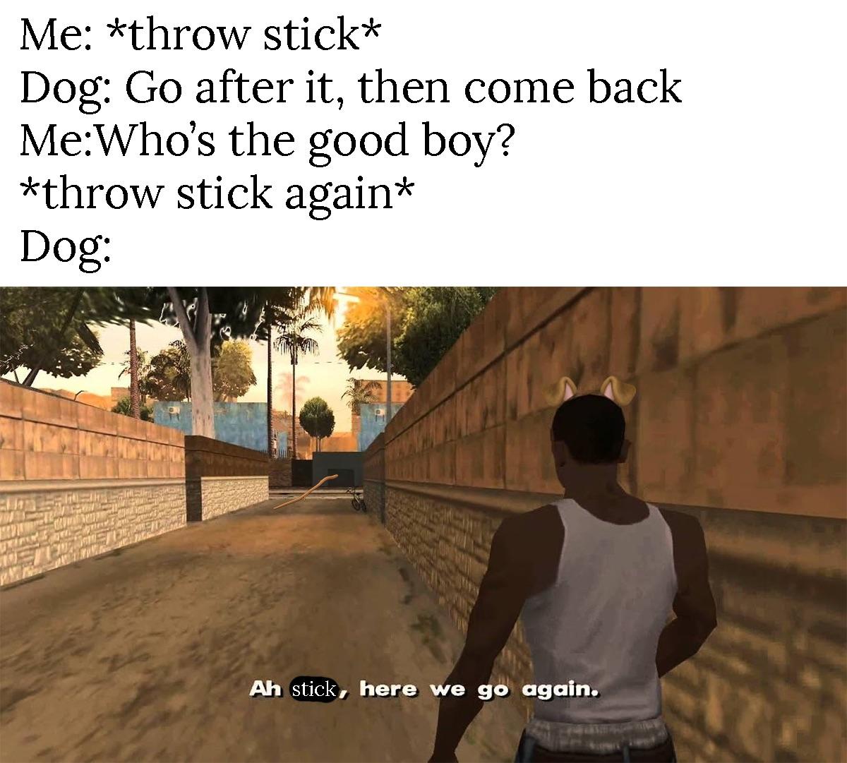 ah shit here we go again - Me throw stick Dog Go after it, then come back MeWho's the good boy? throw stick again Dog Ah stick, here we go again.