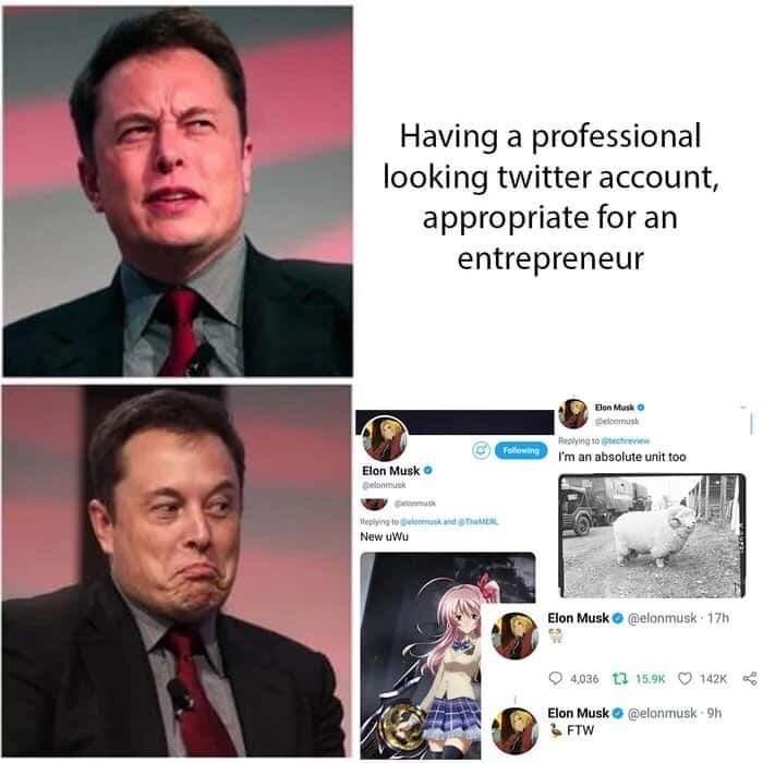 Elon Musk - Having a professional looking twitter account, appropriate for an entrepreneur Elon Musk o Domus ing Healing to the I'm an absolute unit too Elon Musk Deloomus and Heplying to do New uwu Elon Musk 17h 4,036 1.2 9h Elon Musk & Ftw