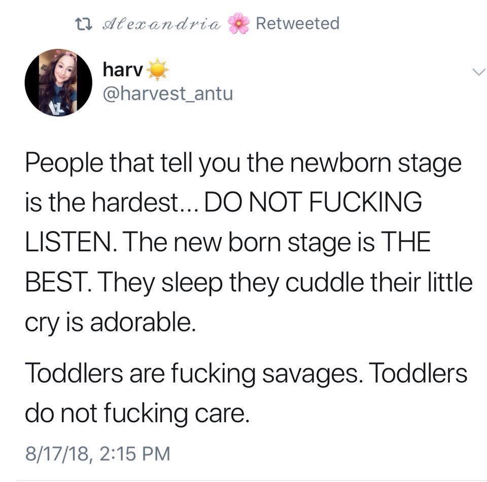 funny memes - mollie tibbetts tweets - 22 Alexandria Retweeted hary People that tell you the newborn stage is the hardest... Do Not Fucking Listen. The new born stage is The Best. They sleep they cuddle their little cry is adorable. Toddlers are fucking s