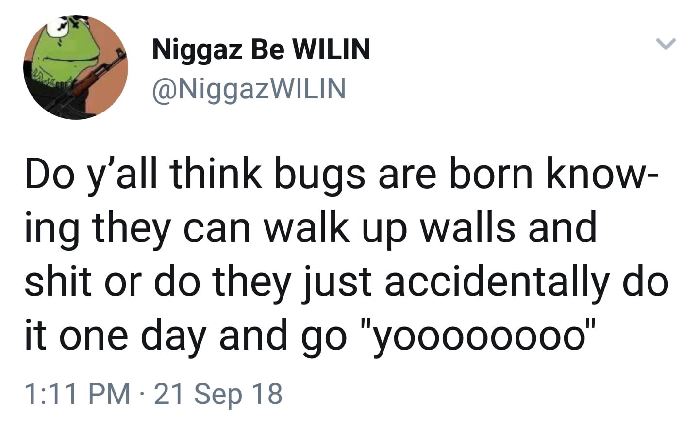 funny memes - Niggaz Be Wilin Do y'all think bugs are born know ing they can walk up walls and shit or do they just accidentally do it one day and go