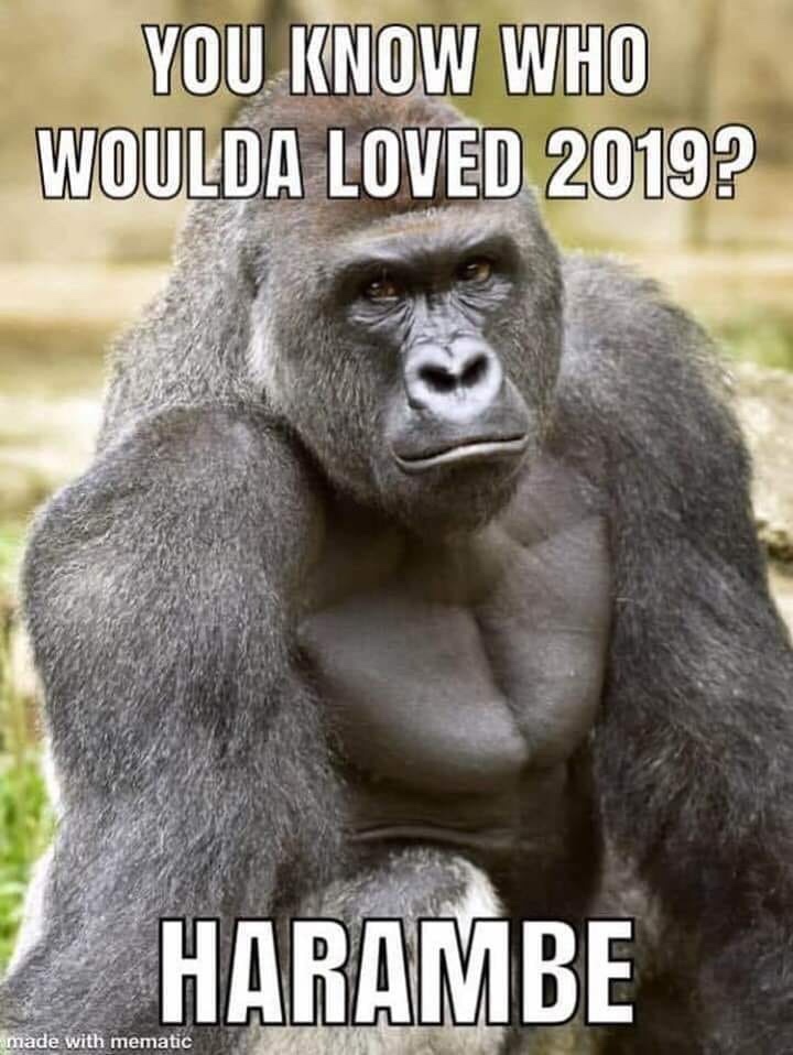 harambe meme - You Know Who Woulda Loved 2019? Harambe made with mematic