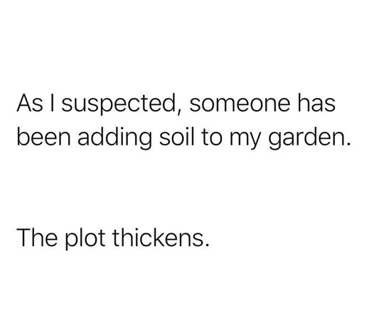 As I suspected, someone has been adding soil to my garden. The plot thickens.