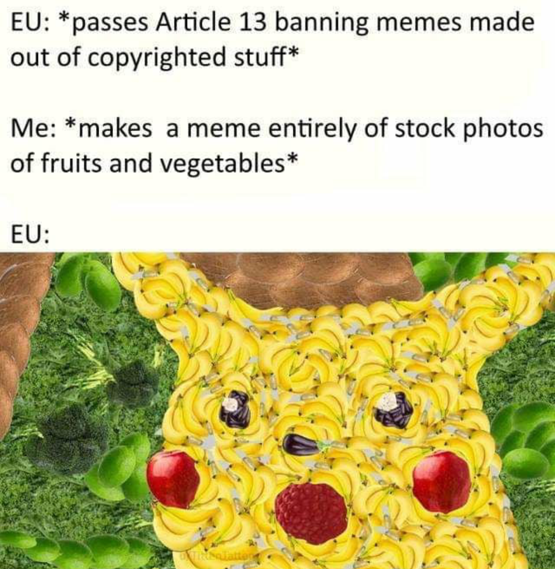 memes from reddit - Eu passes Article 13 banning memes made out of copyrighted stuff Me makes a meme entirely of stock photos of fruits and vegetables Eu