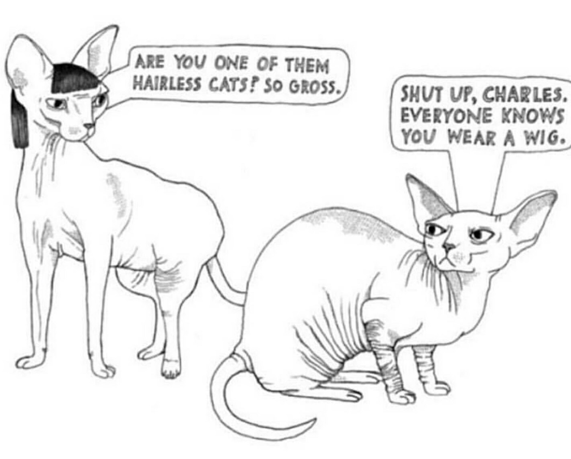 cartoon sphynx cat - Are You One Of Them Hairless Cats? So Gross. Shut Up, Charles. Everyone Knows You Wear A Wig.