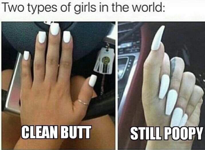 relationship meme of long nails vs short nails meme Two types of girls in the world Clean Butt Still Poopy