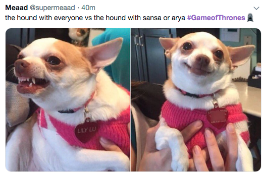 Game of Thrones Season 8 Episode 4 meme - the hound with everyone vs the hound with sansa and arya