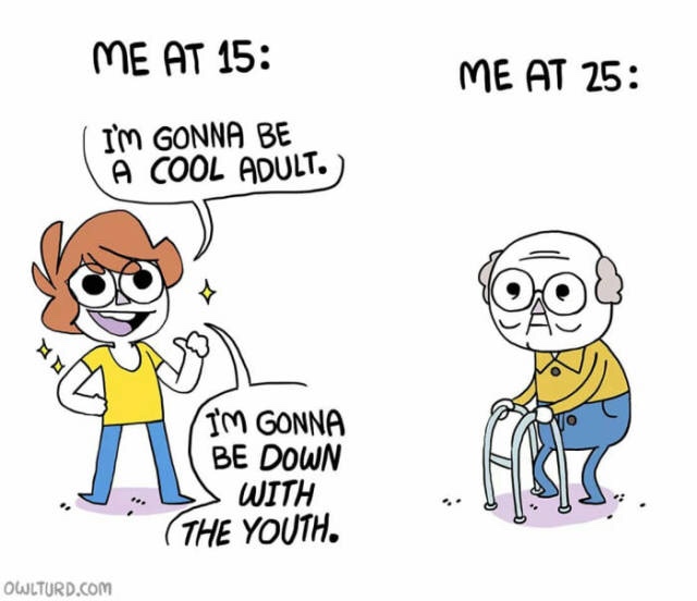 dank fire meme of Comics - Me At 15 Me At 25 I'M Gonna Be A Cool Adult. I'M Gonna Be Down With The Youth. Owlturd.Com