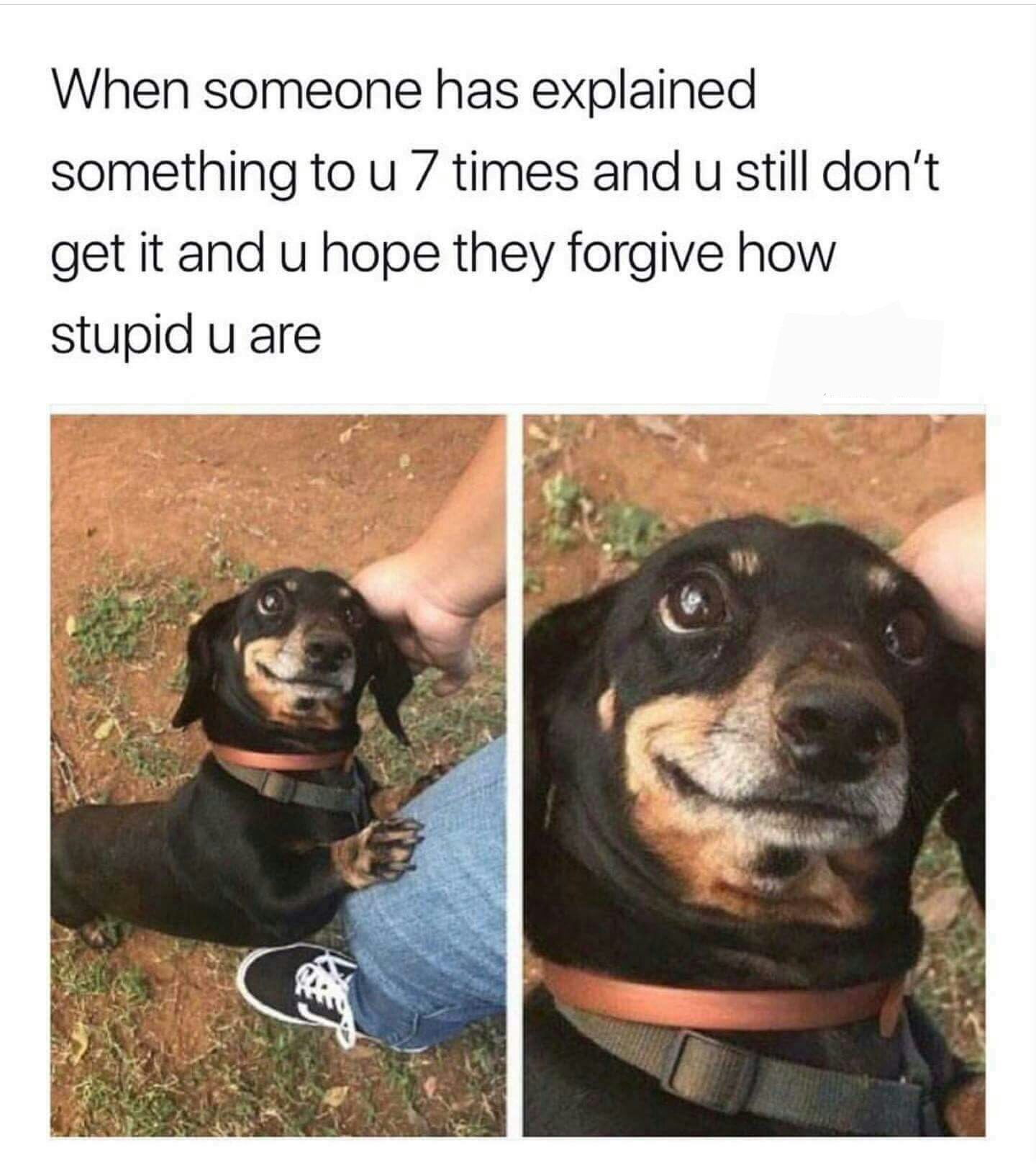 dank meme of someone has explained something to u 7 times - When someone has explained something to u 7 times and u still don't get it and u hope they forgive how stupid u are