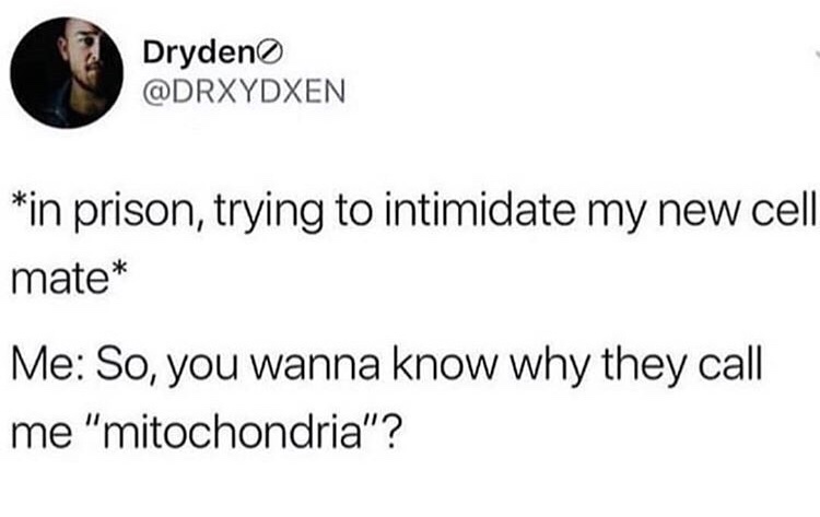 dank meme of mitochondria memes - Drydeno in prison, trying to intimidate my new cell mate Me So, you wanna know why they call me "mitochondria"?