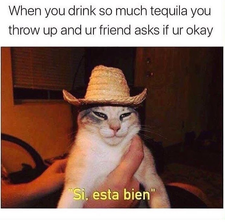 dank meme of mexico meme - When you drink so much tequila you throw up and ur friend asks if ur okay "Si, esta bien"