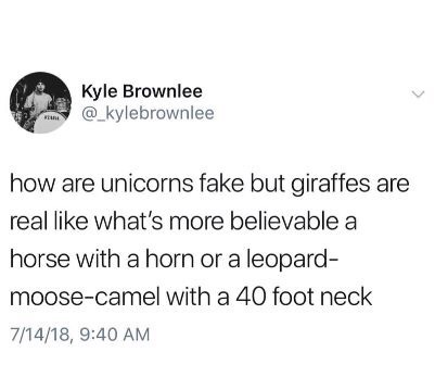 dank meme of carson dad joke - Kyle Brownlee Kyle Brownlee how are unicorns fake but giraffes are real what's more believable a horse with a horn or a leopard moosecamel with a 40 foot neck 71418,