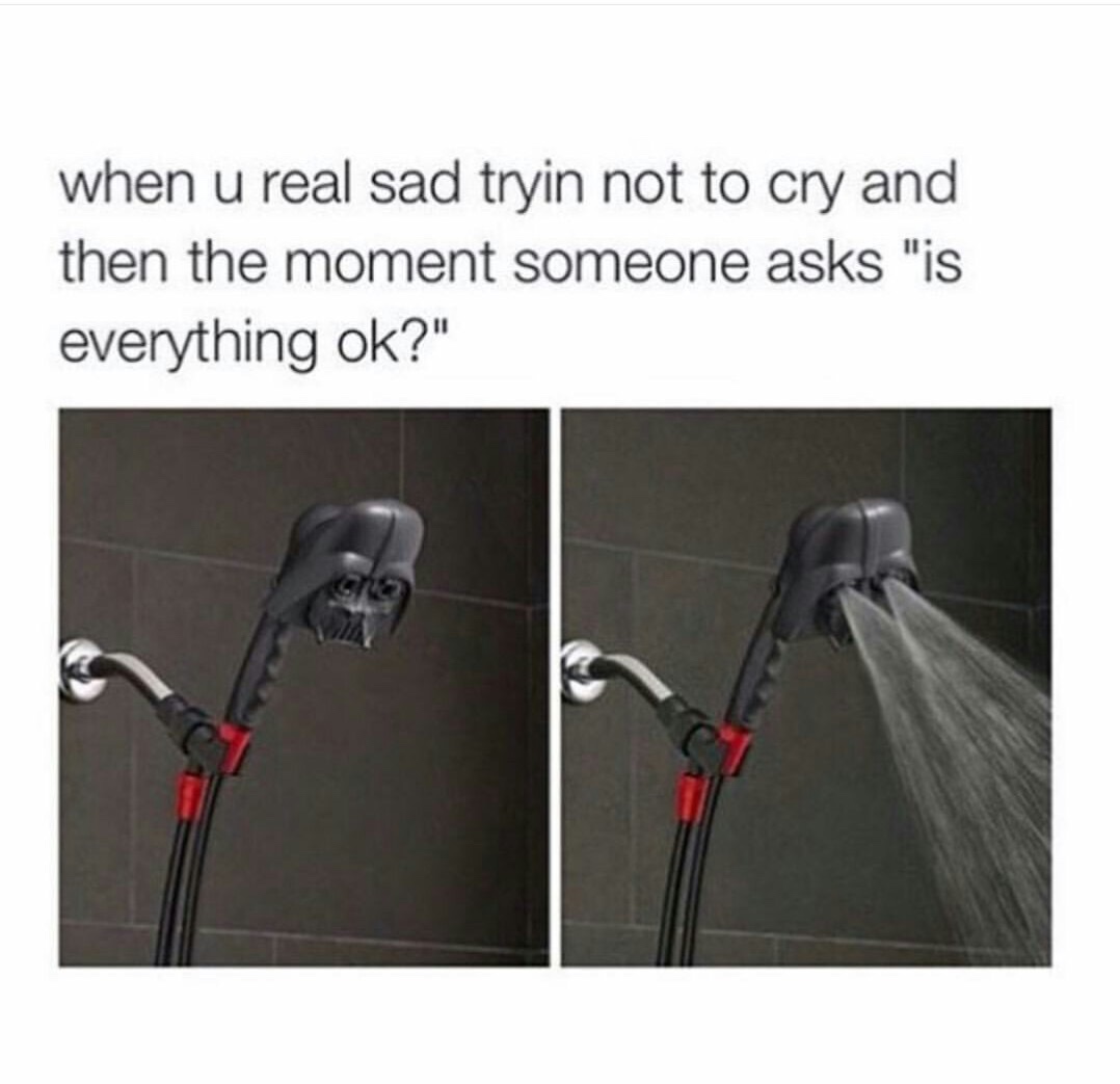 dank meme of everything was ok meme - when u real sad tryin not to cry and then the moment someone asks "is everything ok?"