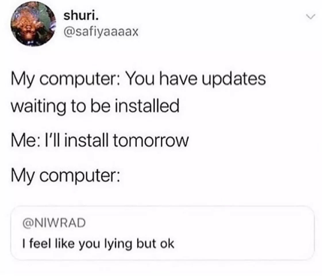 dank meme of feel like you lying but ok - shuri. My computer You have updates waiting to be installed Me I'll install tomorrow My computer I feel you lying but ok