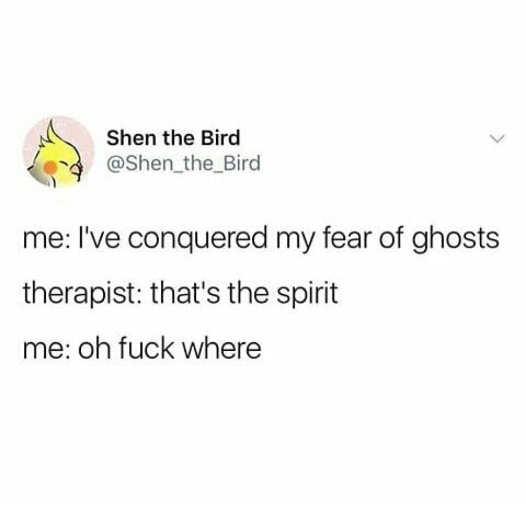 dank meme of angle - Shen the Bird me I've conquered my fear of ghosts therapist that's the spirit me oh fuck where