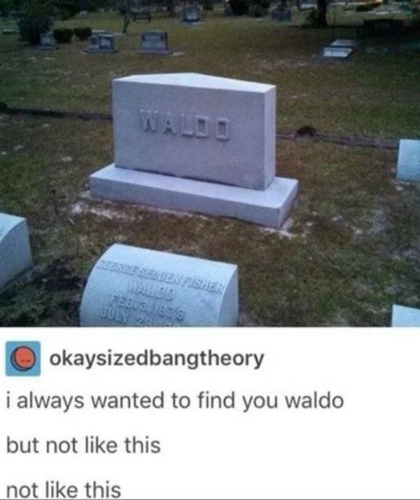 funny waldo - Esztenshen okaysizedbangtheory i always wanted to find you waldo but not this not this