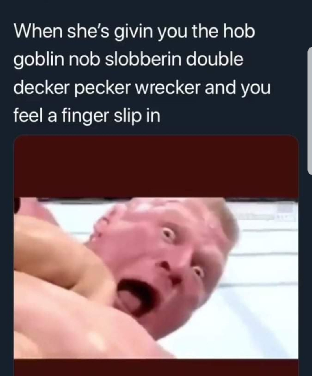 hob goblin nob slobberin double decker pecker wrecker - When she's givin you the hob goblin nob slobberin double decker pecker wrecker and you feel a finger slip in