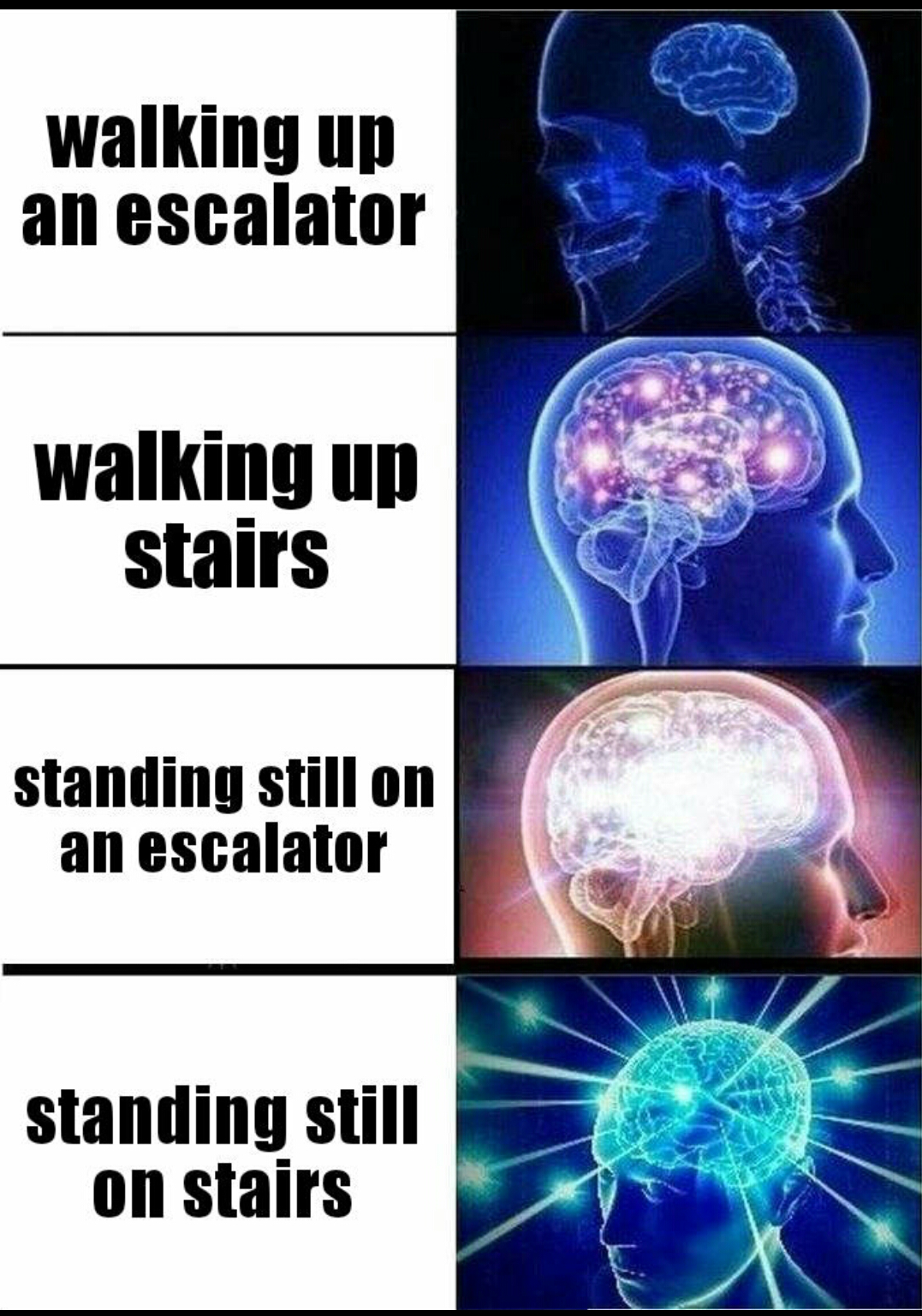 meme - whom brain meme - walking up an escalator walking up stairs standing still on an escalator standing still on stairs