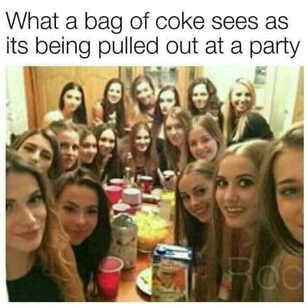 meme - last thing avocado toast sees - What a bag of coke sees as its being pulled out at a party