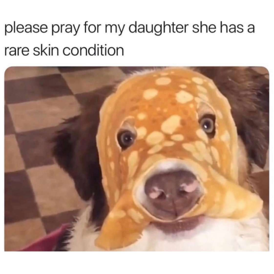 pancake doggo - please pray for my daughter she has a rare skin condition