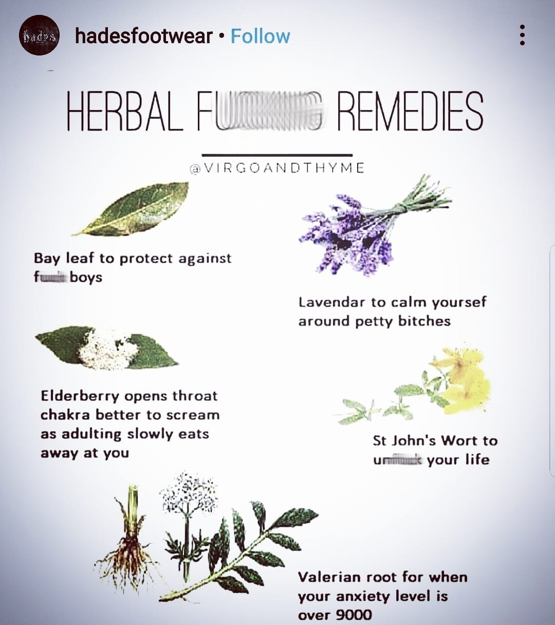 herbal fucking remedies meme - Badys hadesfootwear Herbal Fumesining Remedies Bay leaf to protect against fummi boys Lavendar to calm yoursef around petty bitches Elderberry opens throat chakra better to scream as adulting slowly eats away at you St John'