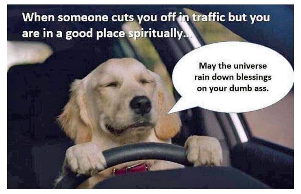 cut off in traffic memes - When someone cuts you off in traffic but you are in a good place spiritually. May the universe rain down blessings on your dumb ass.