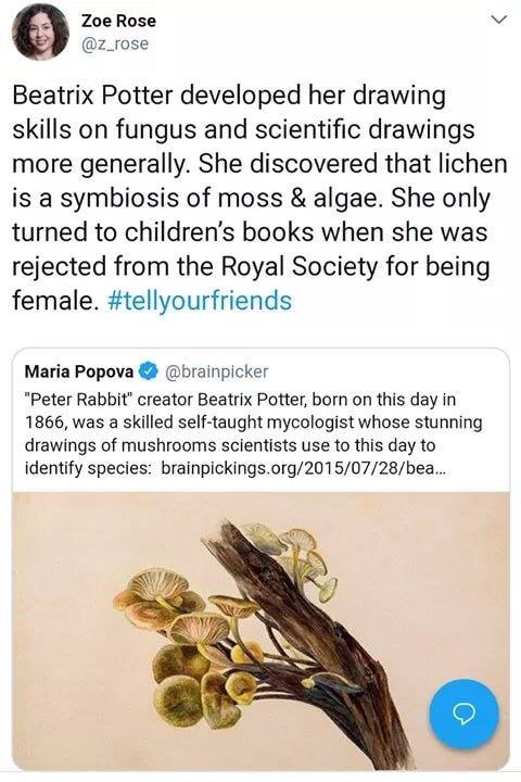 beatrix potter fungi - Zoe Rose Beatrix Potter developed her drawing skills on fungus and scientific drawings more generally. She discovered that licher is a symbiosis of moss & algae. She only turned to children's books when she was rejected from the Roy