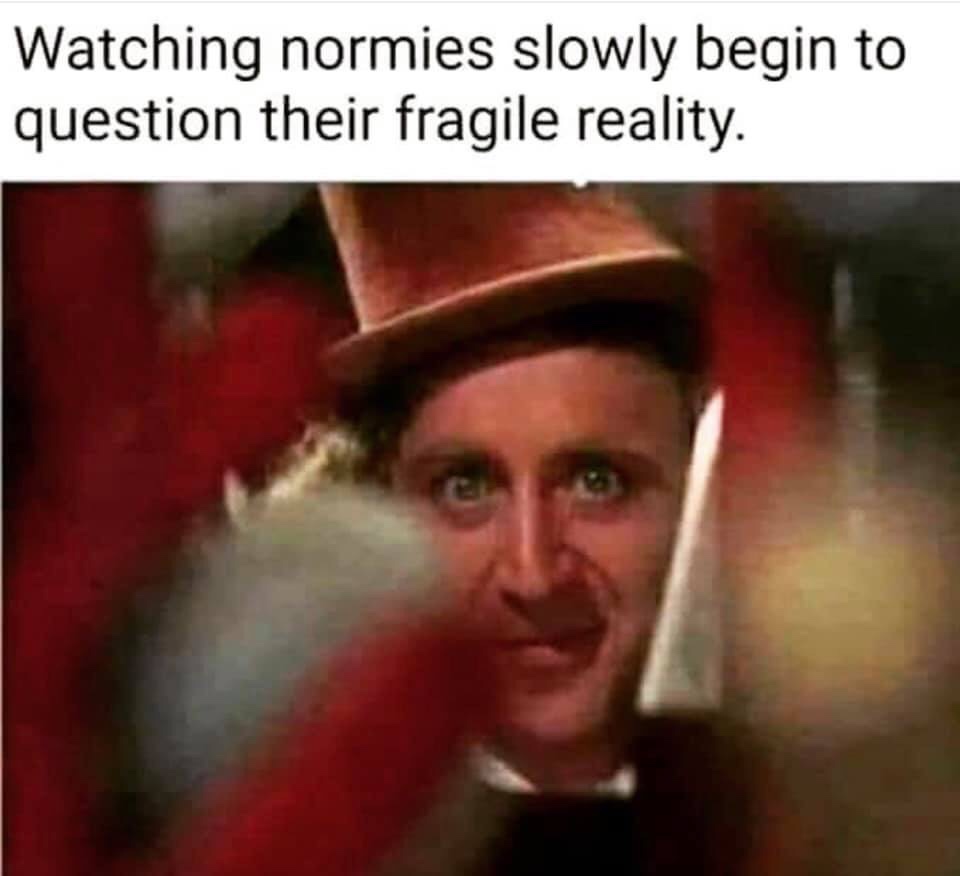 willy wonka creepy - Watching normies slowly begin to question their fragile reality.