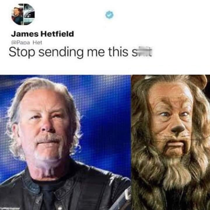 cowardly lion - James Hetfield Papa Het Stop sending me this sit
