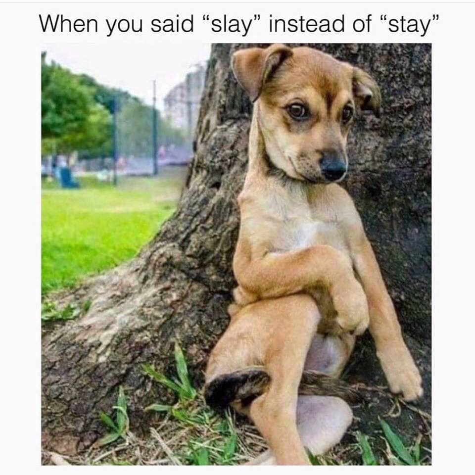 you said slay instead of stay - When you said slay" instead of "stay"