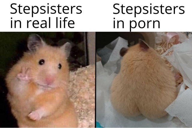 hamster face meme - Stepsisters in real life Stepsisters in porn
