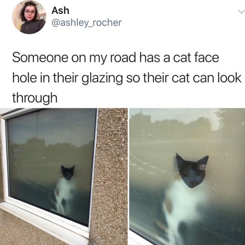 cat face hole glazing - Ash Someone on my road has a cat face hole in their glazing so their cat can look through