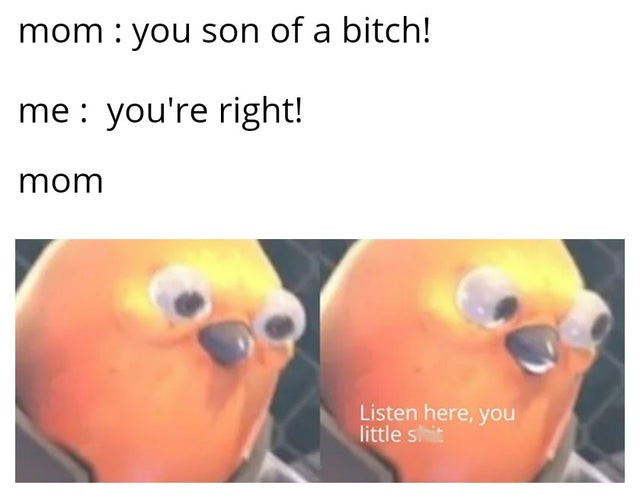 Internet meme - mom you son of a bitch! me you're right! mom Listen here, you littles