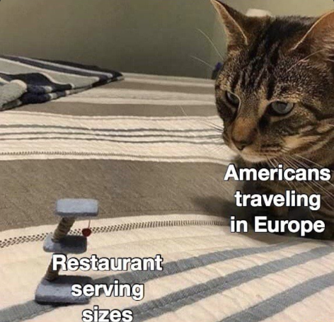 Americans traveling in Europe Restaurant serving sizes