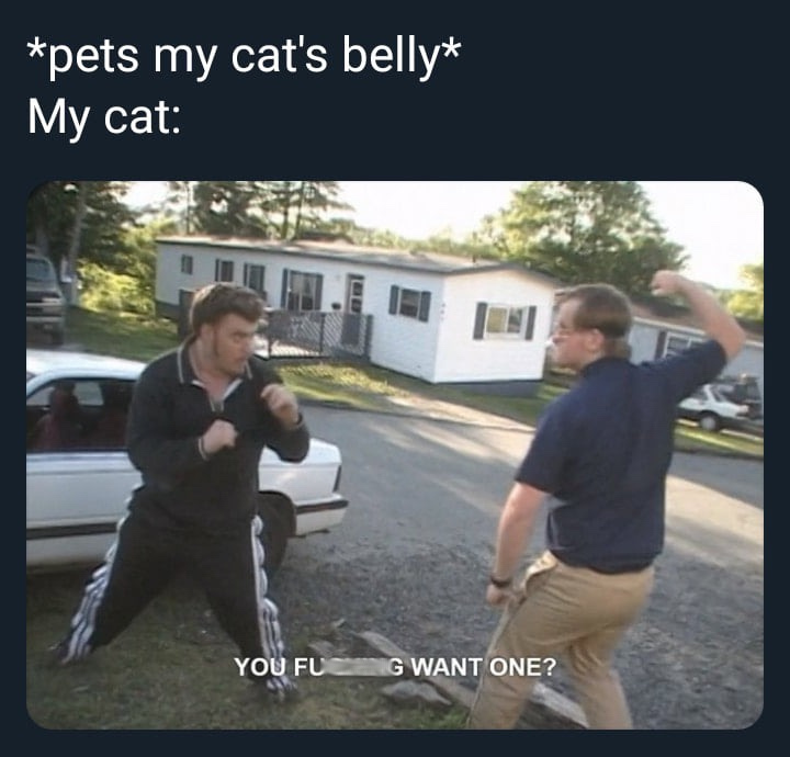 you want one trailer park boys - pets my cat's belly My cat You Fug Want One?