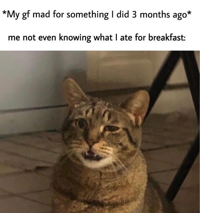 Internet meme - My gf mad for something I did 3 months ago me not even knowing what I ate for breakfast
