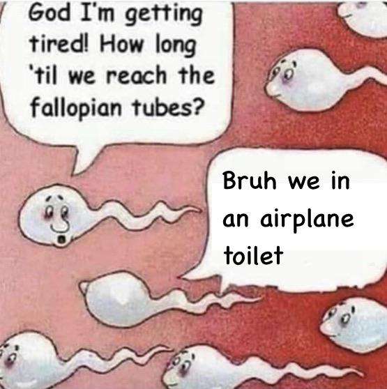 we in a niggas ass meme - God I'm getting tired! How long 'til we reach the fallopian tubes? Bruh we in an airplane toilet