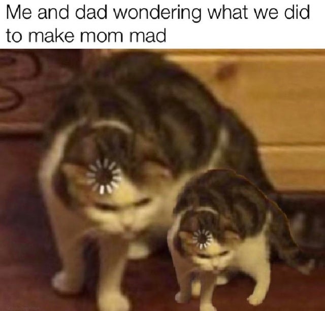 Internet meme - Me and dad wondering what we did to make mom mad