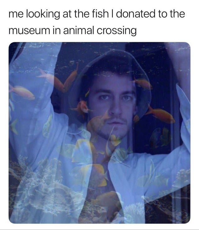 me at the aquarium trying to make personal connections with the fish - me looking at the fish I donated to the museum in animal crossing