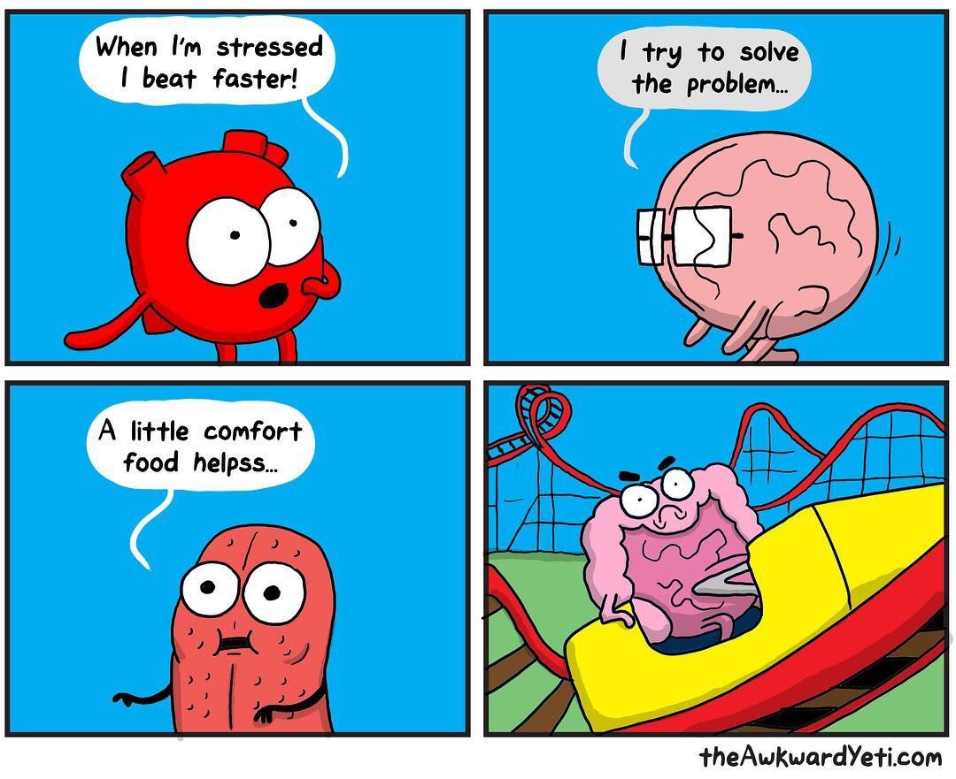 awkward yeti comfort food - When I'm stressed I beat faster! I try to solve the problem... H A little comfort food helpss... the Awkwardyeti.com
