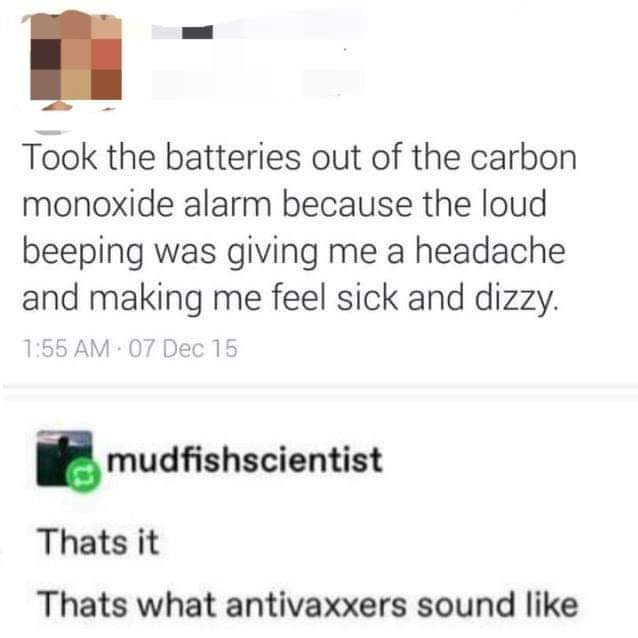 took the batteries out of the carbon monoxide alarm - Took the batteries out of the carbon monoxide alarm because the loud beeping was giving me a headache and making me feel sick and dizzy. 07 Dec 15 mudfishscientist Thats it Thats what antivaxxers sound